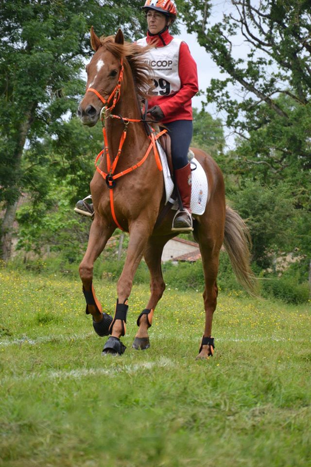 Vanesa Bravo y Jos&eacute; Romera seleccionados para representar a Espa&ntilde;a en el Campeonato del Mundo de Trec